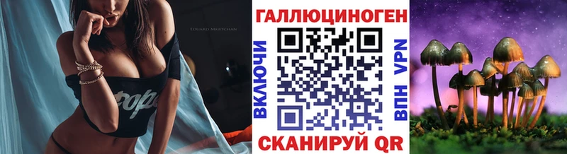 наркота  Крым  Псилоцибиновые грибы мицелий 